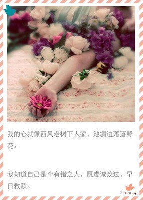 《夜行歌》经典的句子