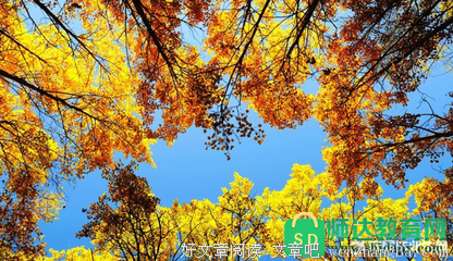 关于孤苦的语句