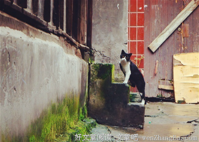 关于骄奢淫逸名言名句