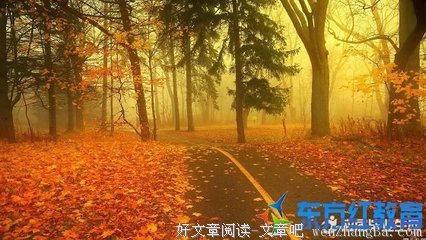 富丽堂皇的语句摘抄_关于富丽堂皇的语句