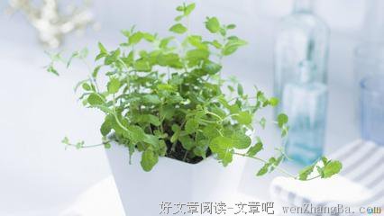 描写不切实际的经典句子