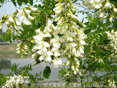 关于幕幕的语句