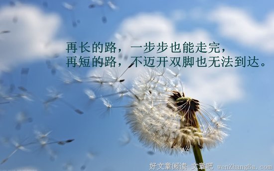 关于漫山遍野的唯美语录