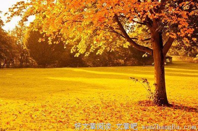 赏读：转眼，别秋