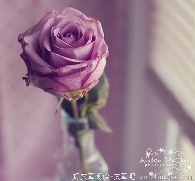 所谓爱情，一生一世一双人