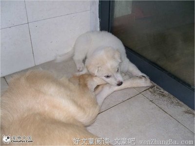 肥腻女啪起来不带劲