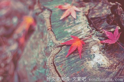 挽回前任的千言万语，也不敌这一句