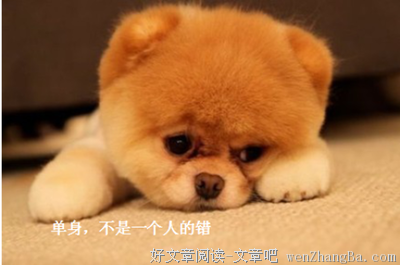 11·11，我们用疯狂买买买来忘记单身的事实 | IVY