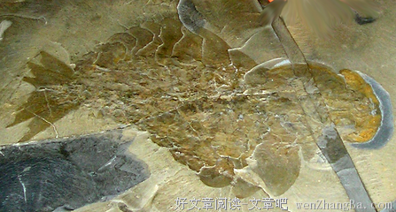 关于伯吉斯的名言