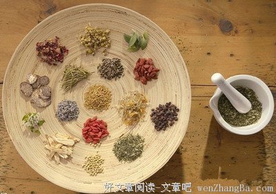 关于糊涂的名言