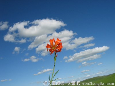 关于小娴名言名句