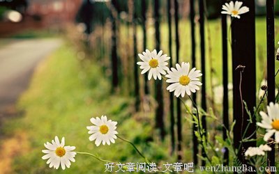最经典的《才女集》语录摘抄
