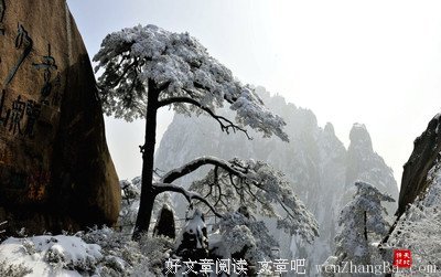 关于菜根谭的名言