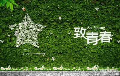 关于恋恋不舍的唯美语录