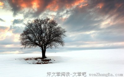 关于无可比拟的语句