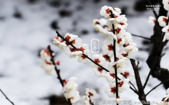 “立冬”知多少？