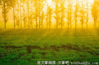 今天立冬，枪就响了