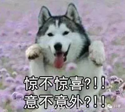 新买的车被女朋友刮了