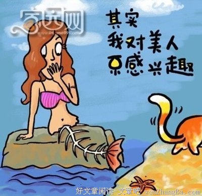 最经典的猫语猫寻经典句子