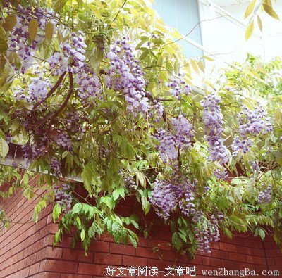 15条关于最刻骨的经典语句