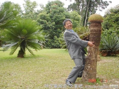 关于煞风景的名言