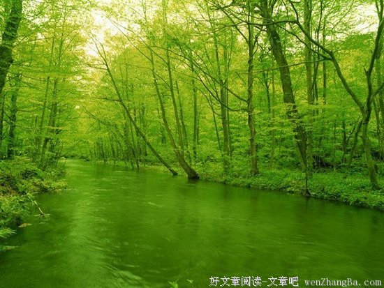 眼睛看得有多远，双脚才能走多远