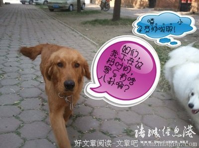 小说：一炕韭菜差点引发血案