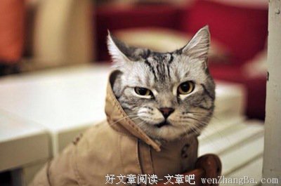 “鄙视链”为何无处不在？