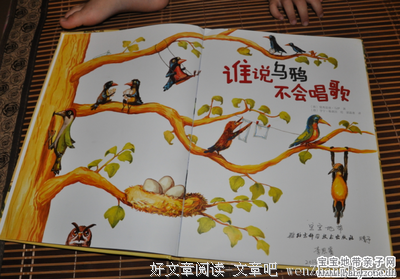 給烏鴉的歌读后感10篇