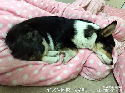 让我多睡会儿，给你个早安吻~