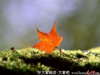 最新的侧侧轻寒名言大全