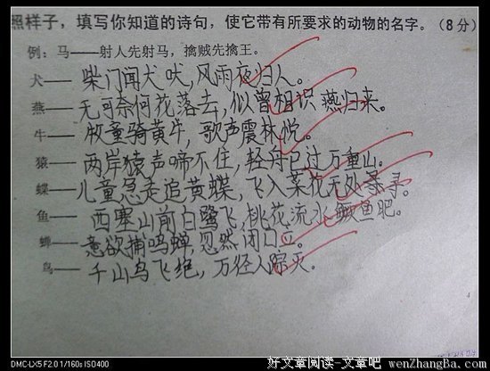 关于杨万里的格言