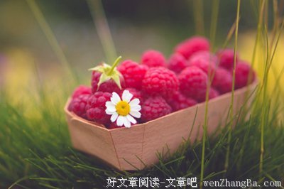 关于卿若的唯美语录