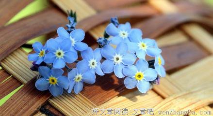 描写彻夜不眠的经典句子