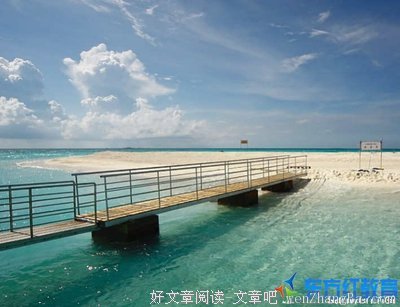 一叶障目的语句摘抄_关于一叶障目的语句