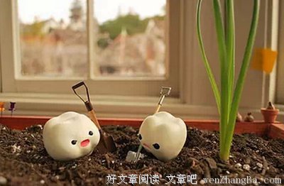 《春来草自青》语录摘抄