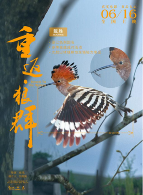 《狼群》经典影评集