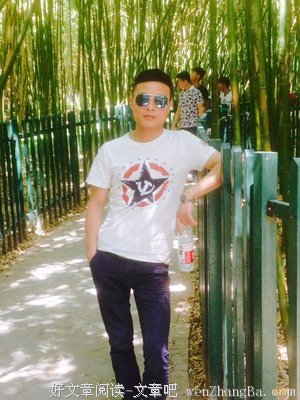 关于安意的语句