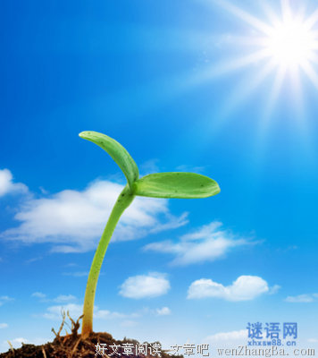 灵动的句子
