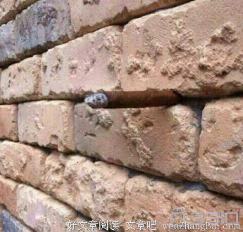 看见你之后我什么都说不出来
