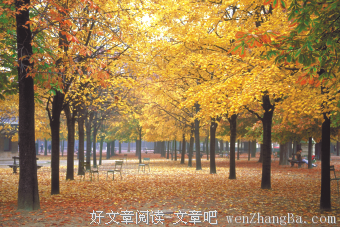【每日灵修】当刚强为主作工