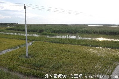 屁股无小事，擦不好会引起经济危机