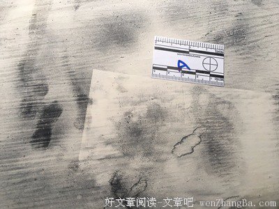 我拿你当室友，你却想当我爸爸