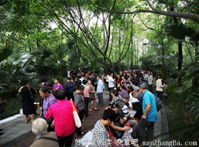 倾诉│大龄男青年的奇葩相亲过程，真爱为何如此难觅？