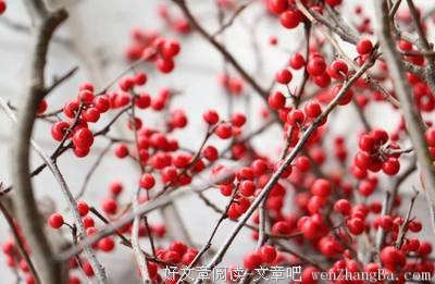 父母凌晨的番茄炒蛋：你是感动，还是不敢动？