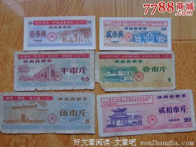 最新的陆玖精彩语录