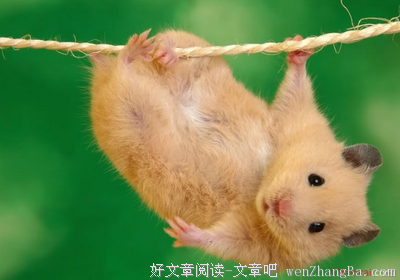 曾轶可精彩语录