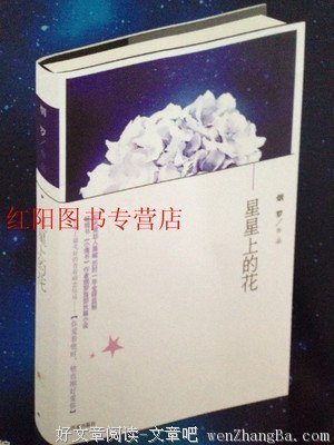 《星星上的花2》佳句摘抄