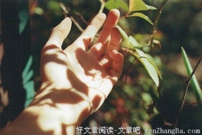 最全的《无爱纪》经典的句子