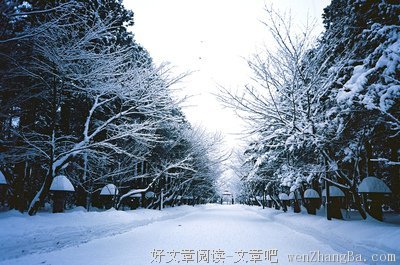 关于多拉的座右铭